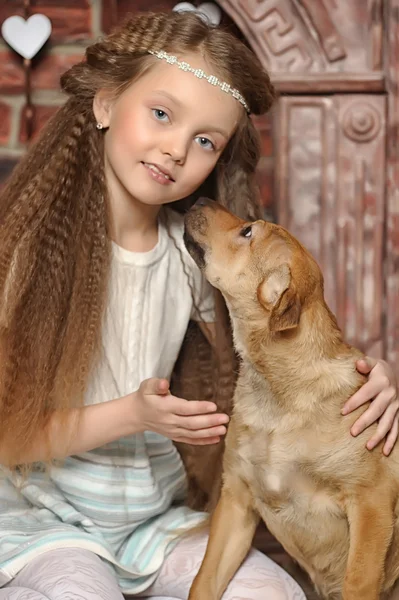 Kızla köpek yavrusu — Stok fotoğraf