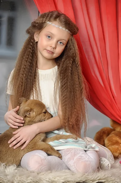Meisje met een puppy — Stockfoto