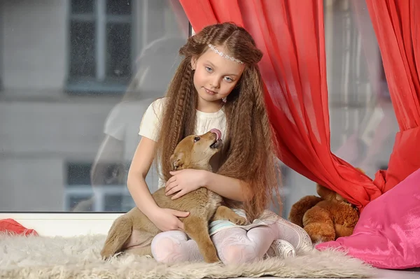 Chica con un cachorro — Foto de Stock