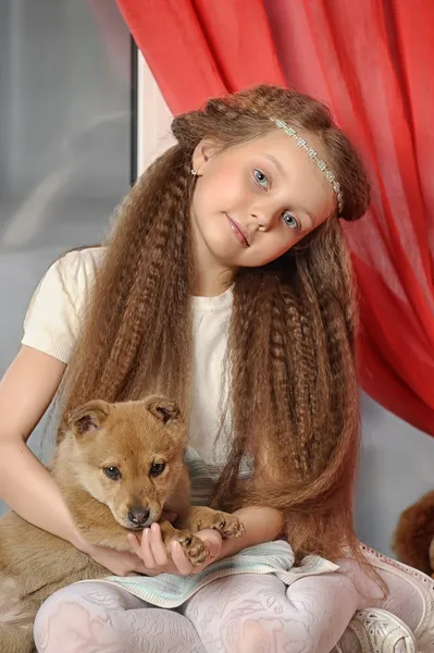 Девушка с щенком — стоковое фото