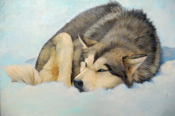 Painting Husky in the Snow — Stock Photo, Image