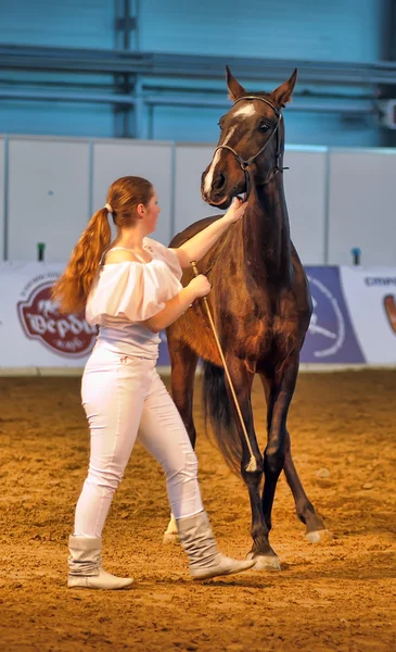 Internationell häst utställning — Stockfoto