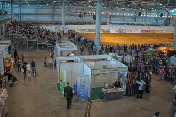 Internationale Pferdeausstellung — Stockfoto