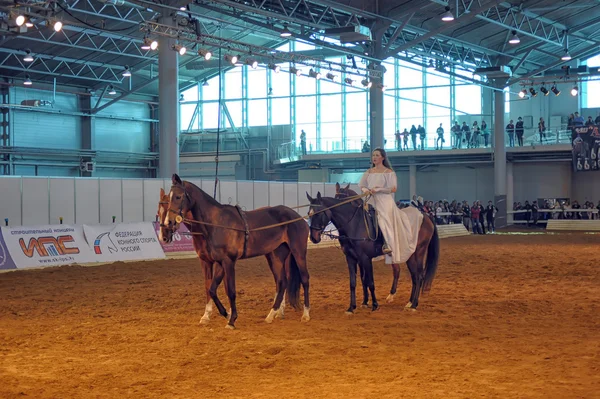 International Horse Exhibition — Stock Photo, Image