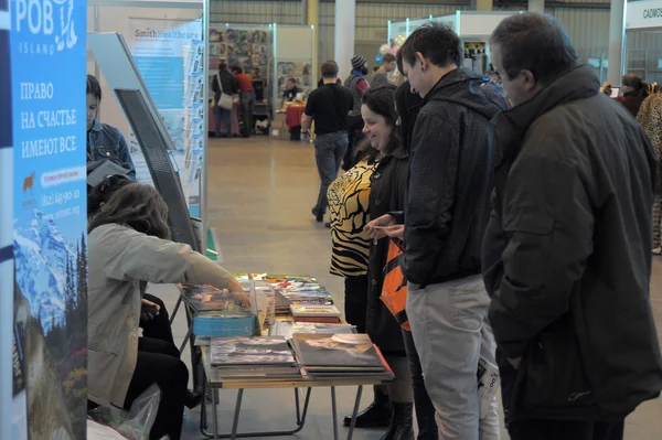 Internationale Pferdeausstellung — Stockfoto