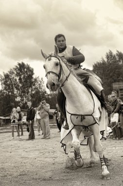 Medieval knight on horseback clipart