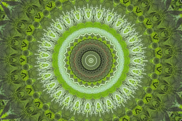 緑の円形のパターン — ストック写真