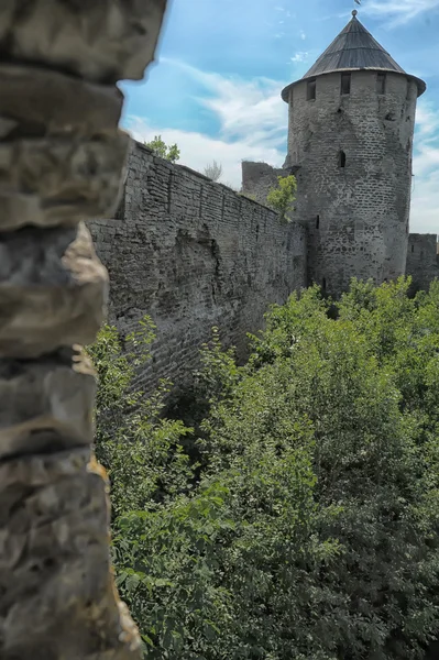 Ivangorod Fortress — Stock Photo, Image