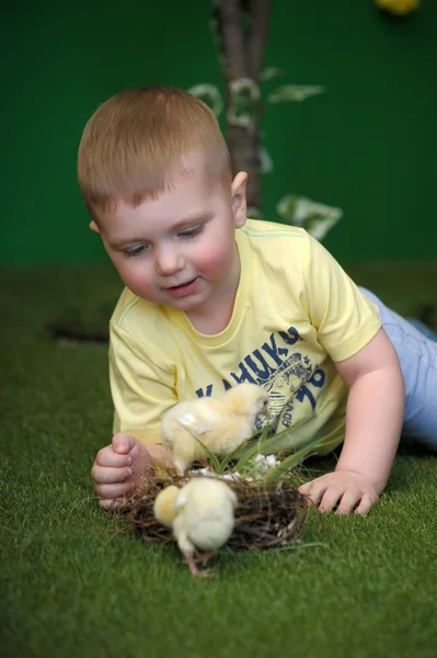 Little boy with chicken — Stock Photo, Image