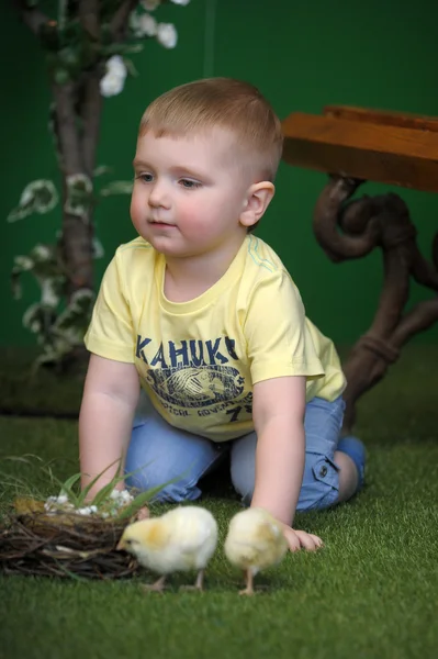 Маленький мальчик с курицей — стоковое фото