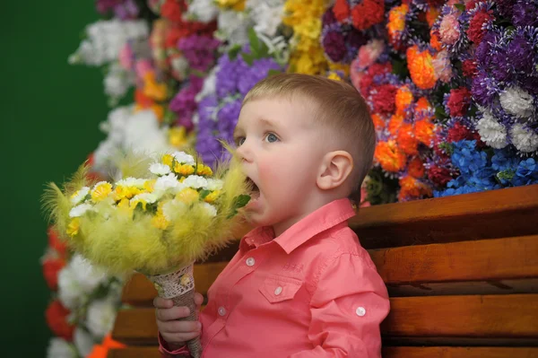 Criança perto dos bancos com flores no fundo — Fotografia de Stock