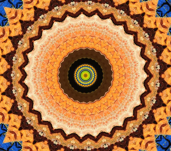 Ornamental round sunflower — Stock Photo, Image