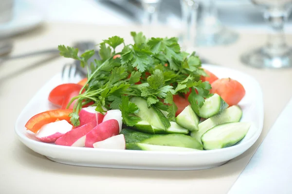 Salade met komkommers, tomaten, radijs en peterselie — Stockfoto