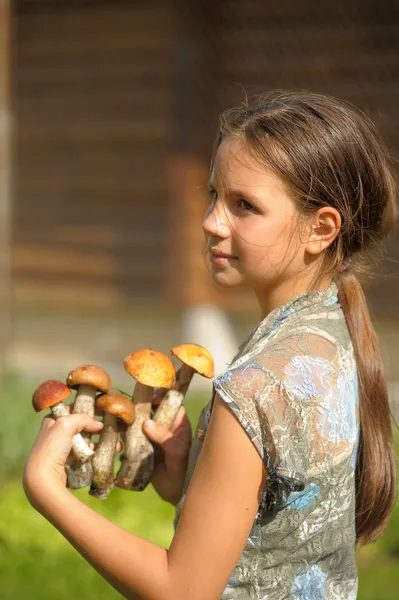 女孩拥有森林蘑菇 — 图库照片