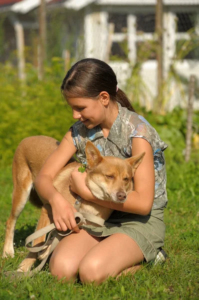 Chica jugando con perro —  Fotos de Stock