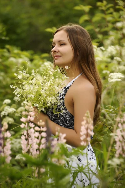 Menina encantadora na natureza — Fotografia de Stock