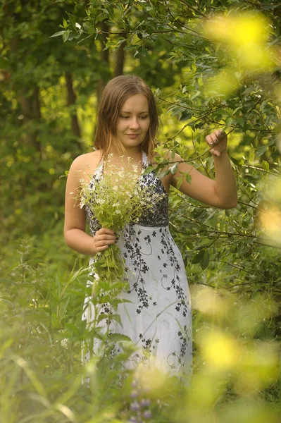 Charming girl on the nature — Stock Photo, Image