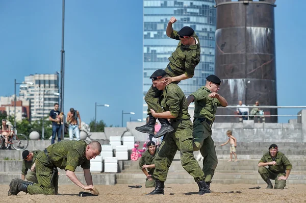 Espectáculo del Cuerpo de Marines —  Fotos de Stock