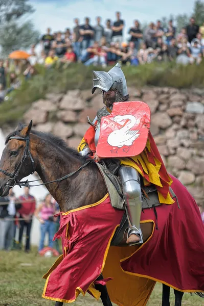 Festival "Tuono di Vyborg 2013 " — Foto Stock