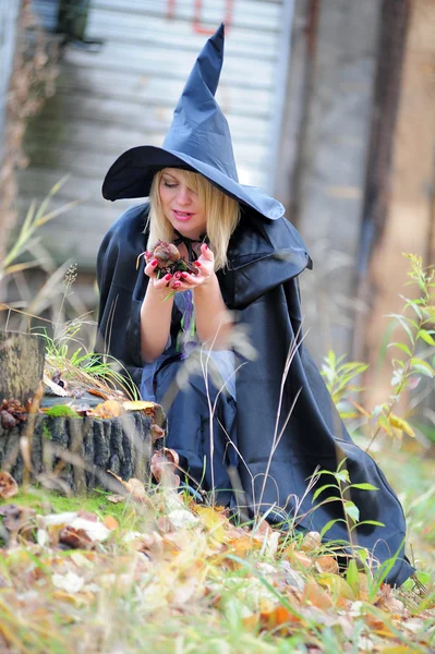 Girl in a witch costume — Stock Photo, Image