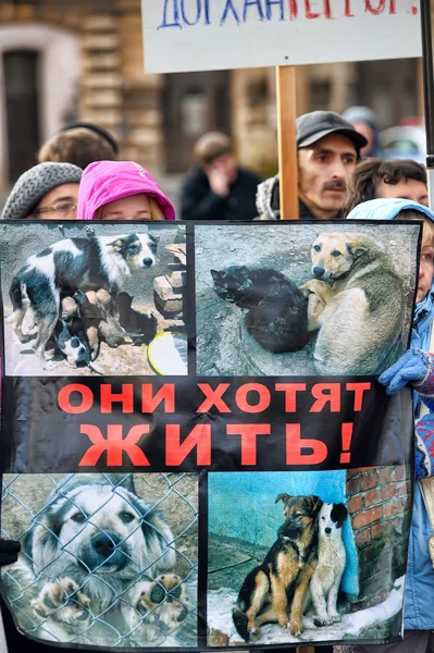 Rally in support of animal rights. — Stock Photo, Image