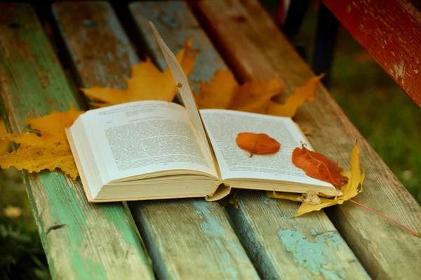 Buch und Herbstblätter — Stockfoto