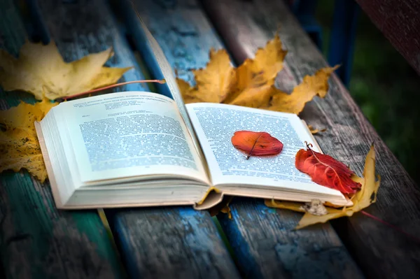 Книжкове та осіннє листя — стокове фото