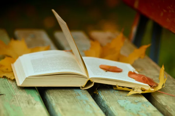 Livro e folhas de outono — Fotografia de Stock