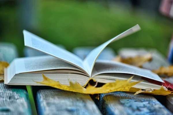 Книжкове та осіннє листя — стокове фото