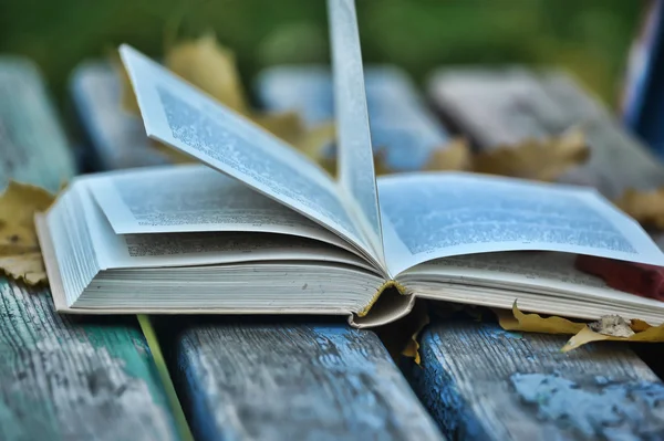 Libro y hojas de otoño — Foto de Stock