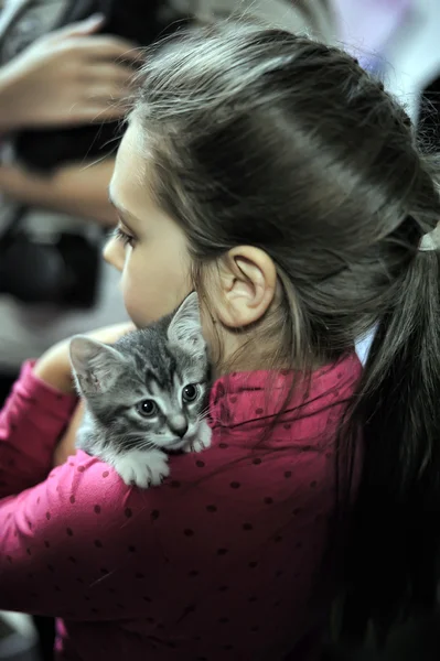 "The Way Home "- mostra la distribuzione del rifugio per animali" Rzhevka ", San Pietroburgo, Russia — Foto Stock