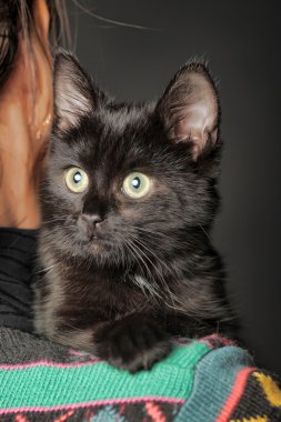 Black kitten on her shoulder clipart