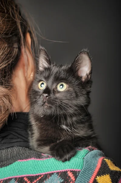 Gatinho preto em seu ombro — Fotografia de Stock