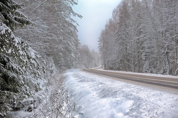 Floresta de Inverno — Fotografia de Stock