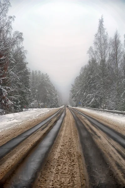 Kış yolu — Stok fotoğraf