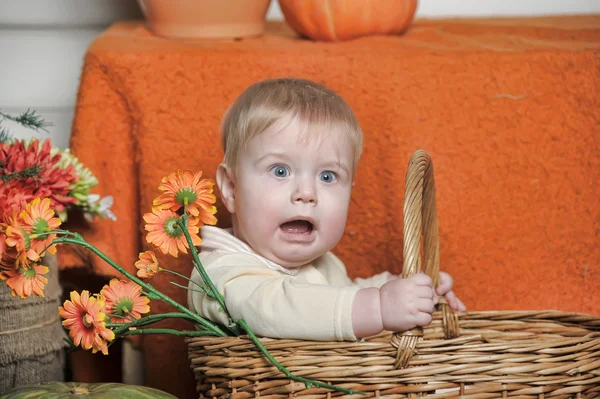 Halloween baby — Stockfoto