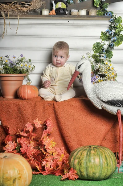 Cadılar Bayramı bebek — Stok fotoğraf