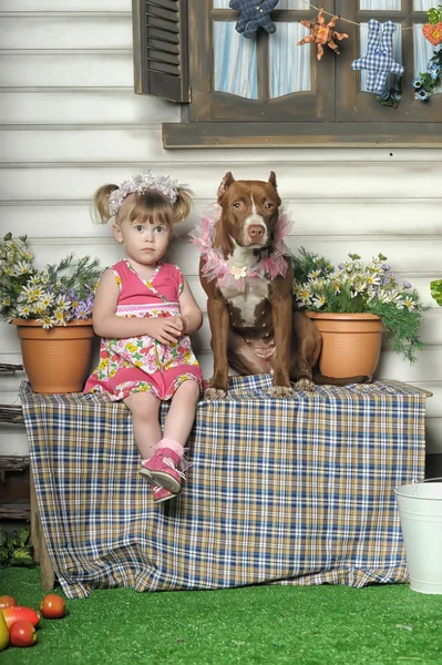 Girl with dog — Stock Photo, Image