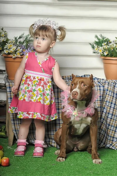 Flicka med hund — Stockfoto
