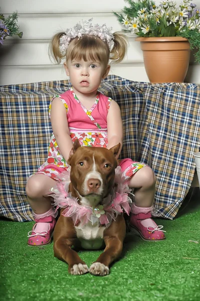 Flicka sitter på hund — Stockfoto