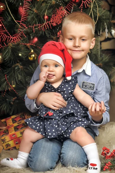 Broer en zus in de buurt van Spar-kerstboom — Stockfoto