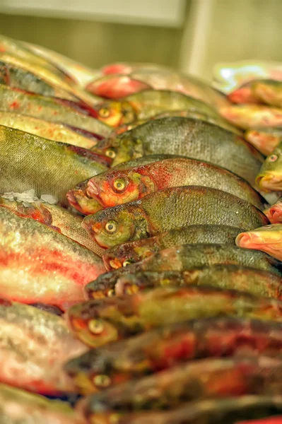 Färsk fiskmarknaden — Stockfoto