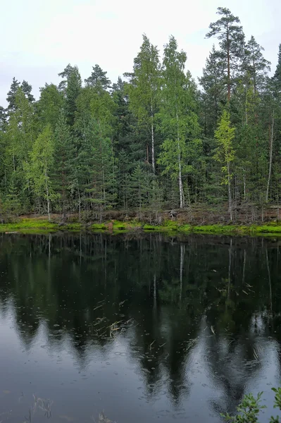 Lake — Stock Photo, Image