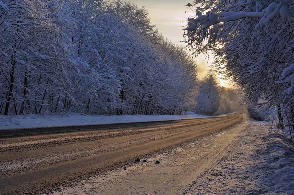 冬の道 — ストック写真