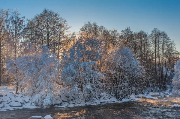 Fiume invernale — Foto Stock