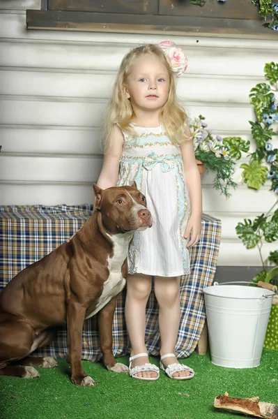 Ragazza con cane — Foto Stock