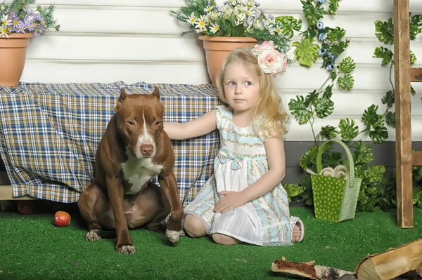 Girl with dog — Stock Photo, Image