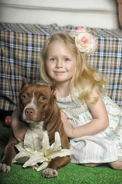 Ragazza con cane — Foto Stock