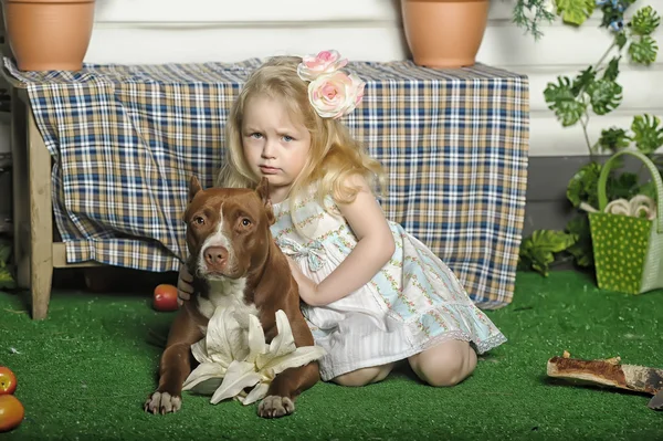 Chica con perro — Foto de Stock