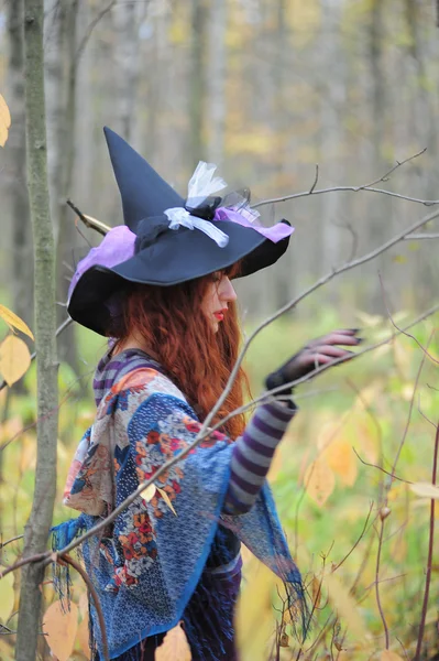 Ormandaki cadı — Stok fotoğraf